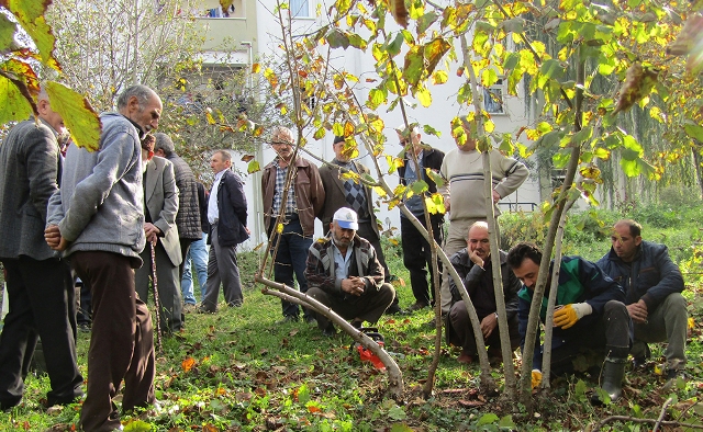 ‘Fındıkta Verim ve Kaliteyi Artırılacak