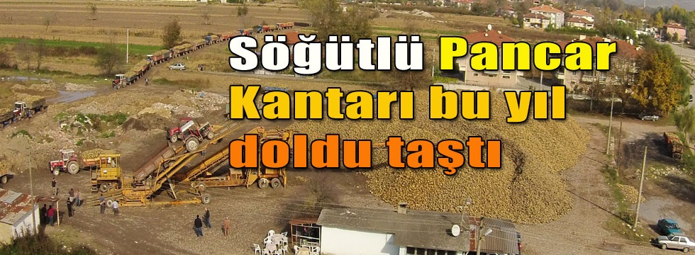 Pancar Kantarı bu yıl doldu taştı