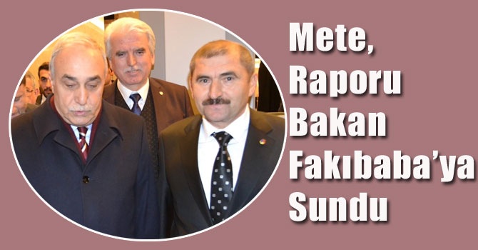 Raporu Bakan Eşref Fakıbaba’ya sundu