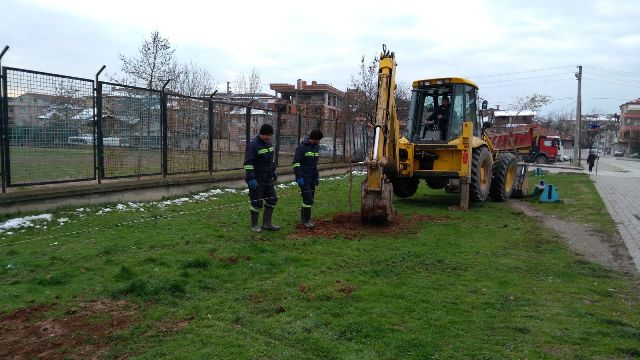 Hendek'te ağaçlandırma