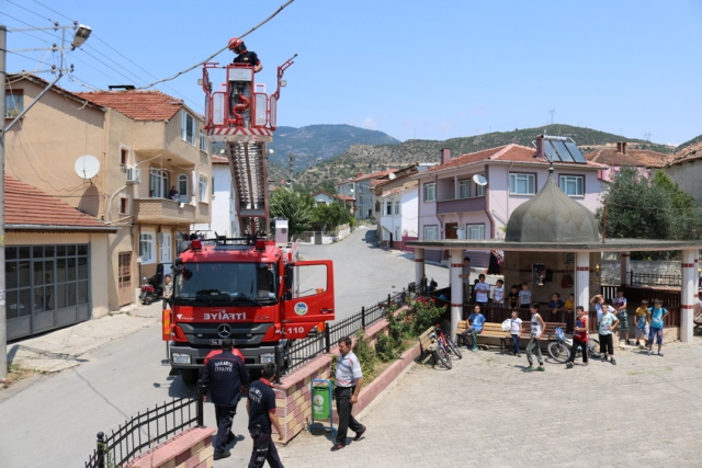 Leylek yavrusu kurtarıldı