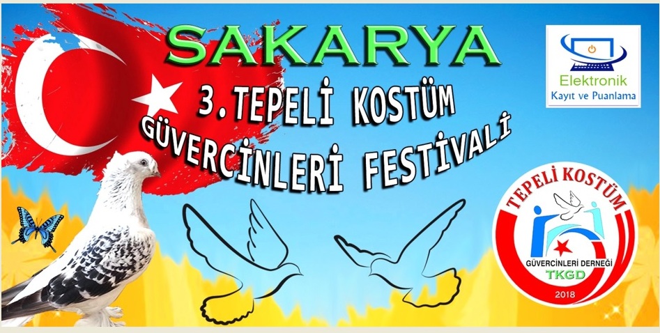 Güvercinseverler   festivale hazırlanıyor