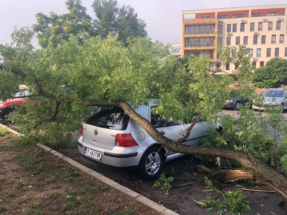 60 yıldan beri görülmedi