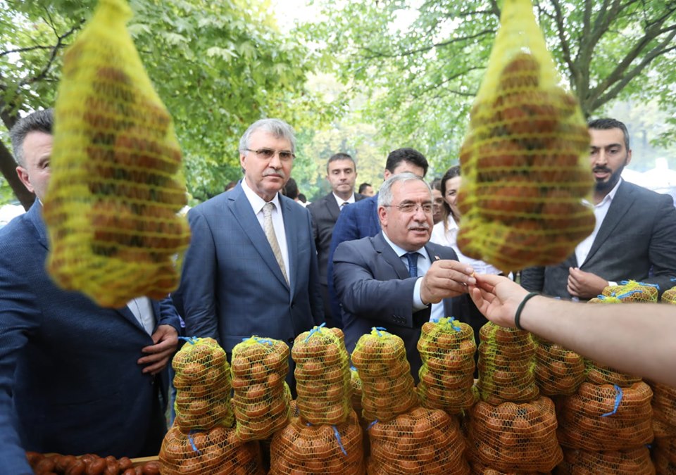 Sapanca'da bir ilk; Ceviz Festivali