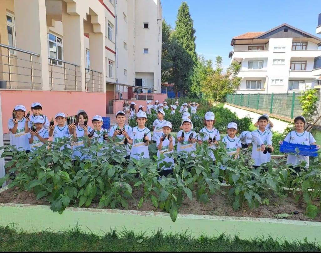 Minikler ektiklerini topladılar